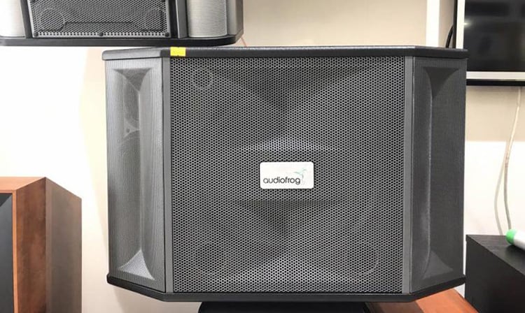 Ảnh minh họa Loa karaoke AUDIOFROG M12F 2