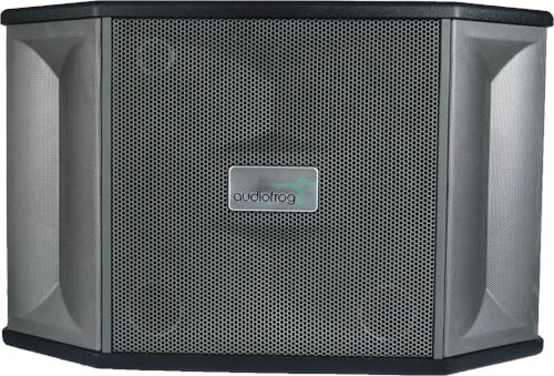 Ảnh minh họa Loa karaoke AUDIOFROG M12F 3