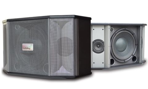 Loa karaoke AUDIOFROG M12F