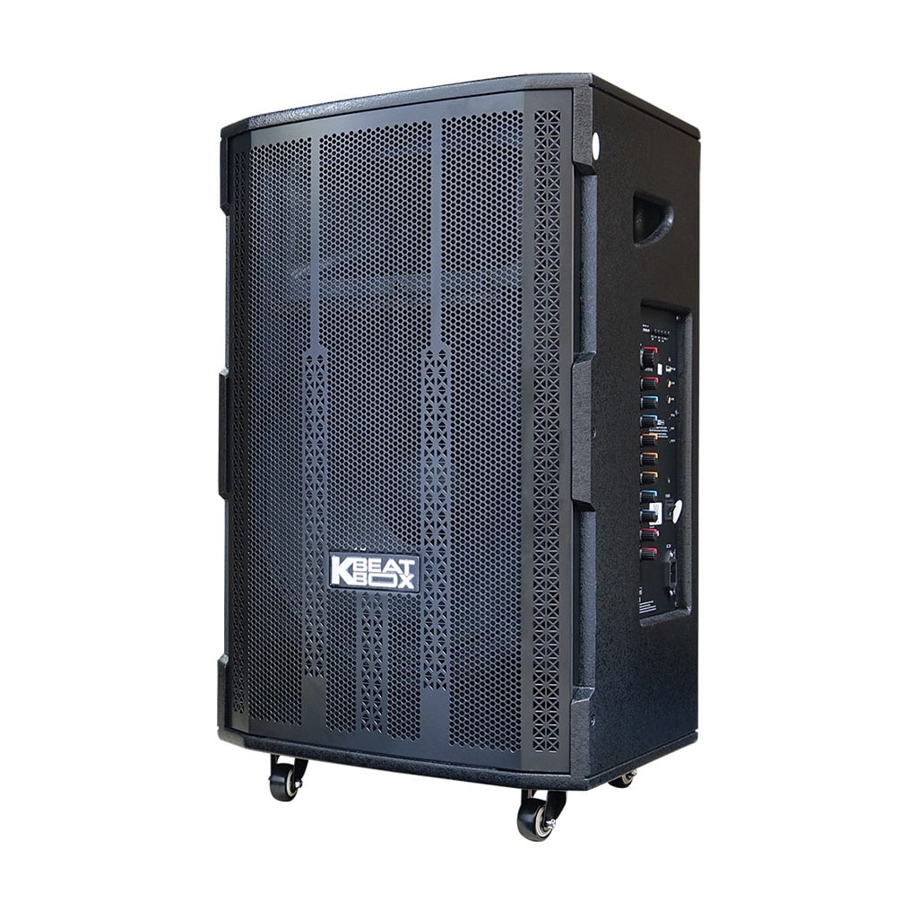 Ảnh minh họa Loa Karaoke Bluetooth Soncamedia ACNOS 15S2 1