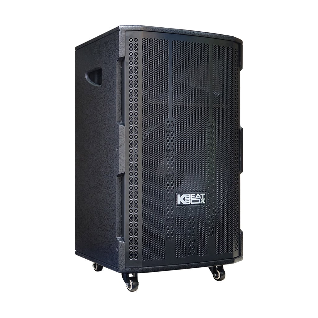 Ảnh minh họa Loa Karaoke Bluetooth Soncamedia ACNOS 15S2 2