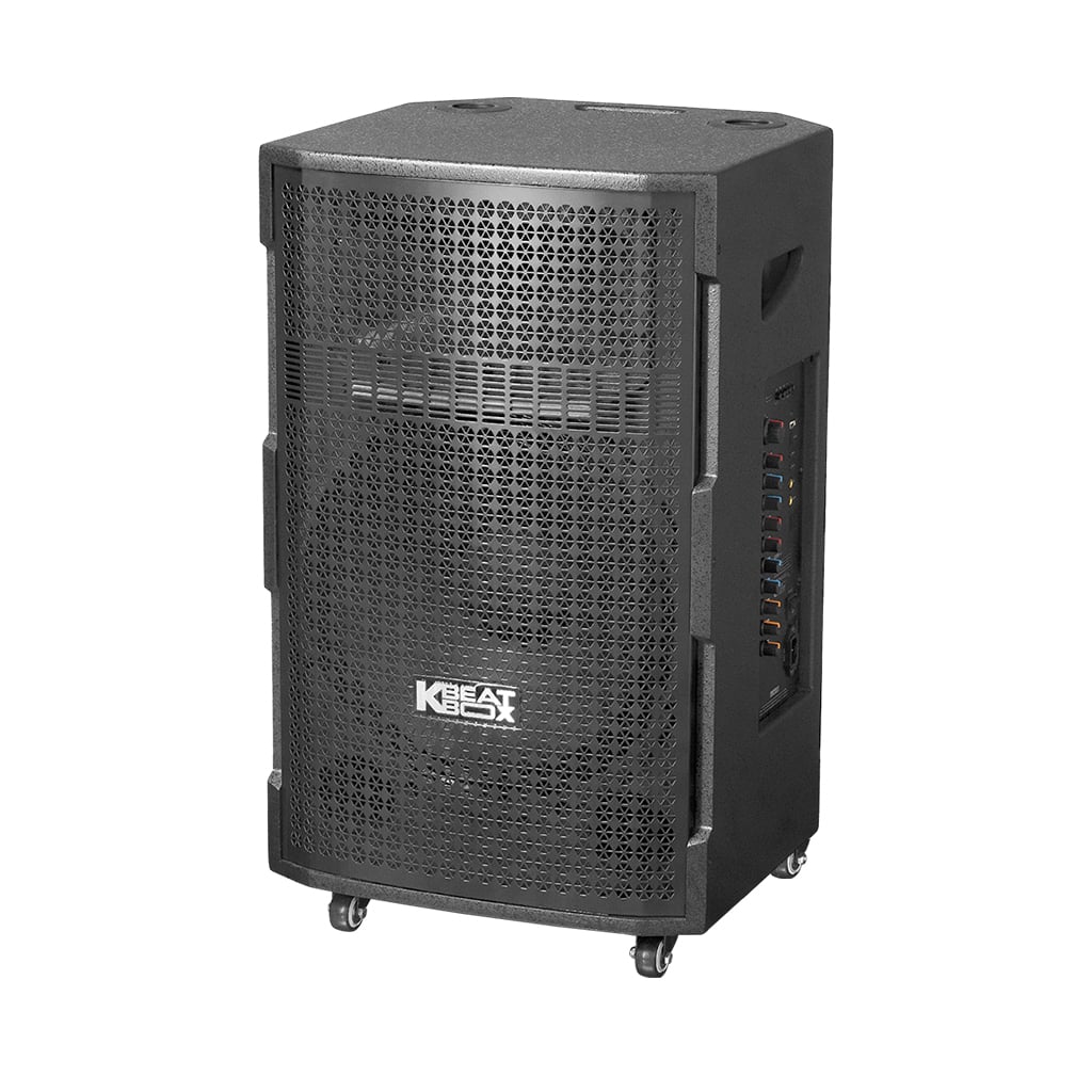 Ảnh minh họa Loa Karaoke Bluetooth Soncamedia CB393neo 1