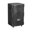 Loa Karaoke Bluetooth Soncamedia CB393neo