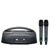 Loa Karaoke Bluetooth Soncamedia SONCAMEDIA CHILL