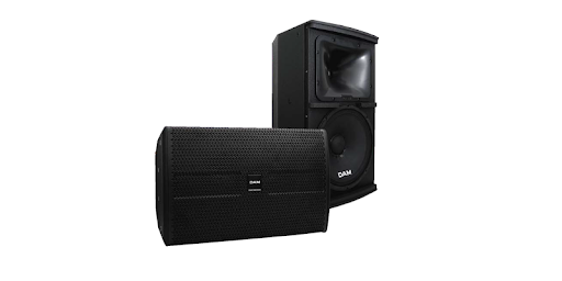 Ảnh minh họa LOA KARAOKE DAM-GS1200 2
