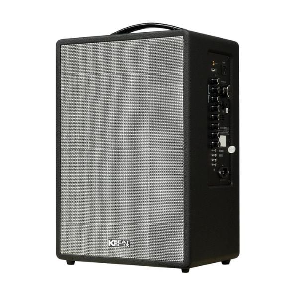Ảnh minh họa Loa Karaoke di động SONCAMEDIA CS251Q 2