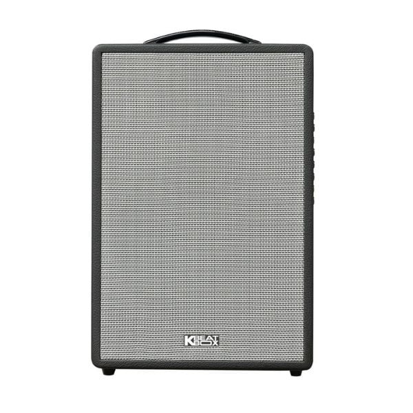 Loa Karaoke di động SONCAMEDIA CS251Q
