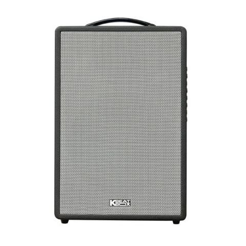 Loa Karaoke di động SONCAMEDIA CS251Q