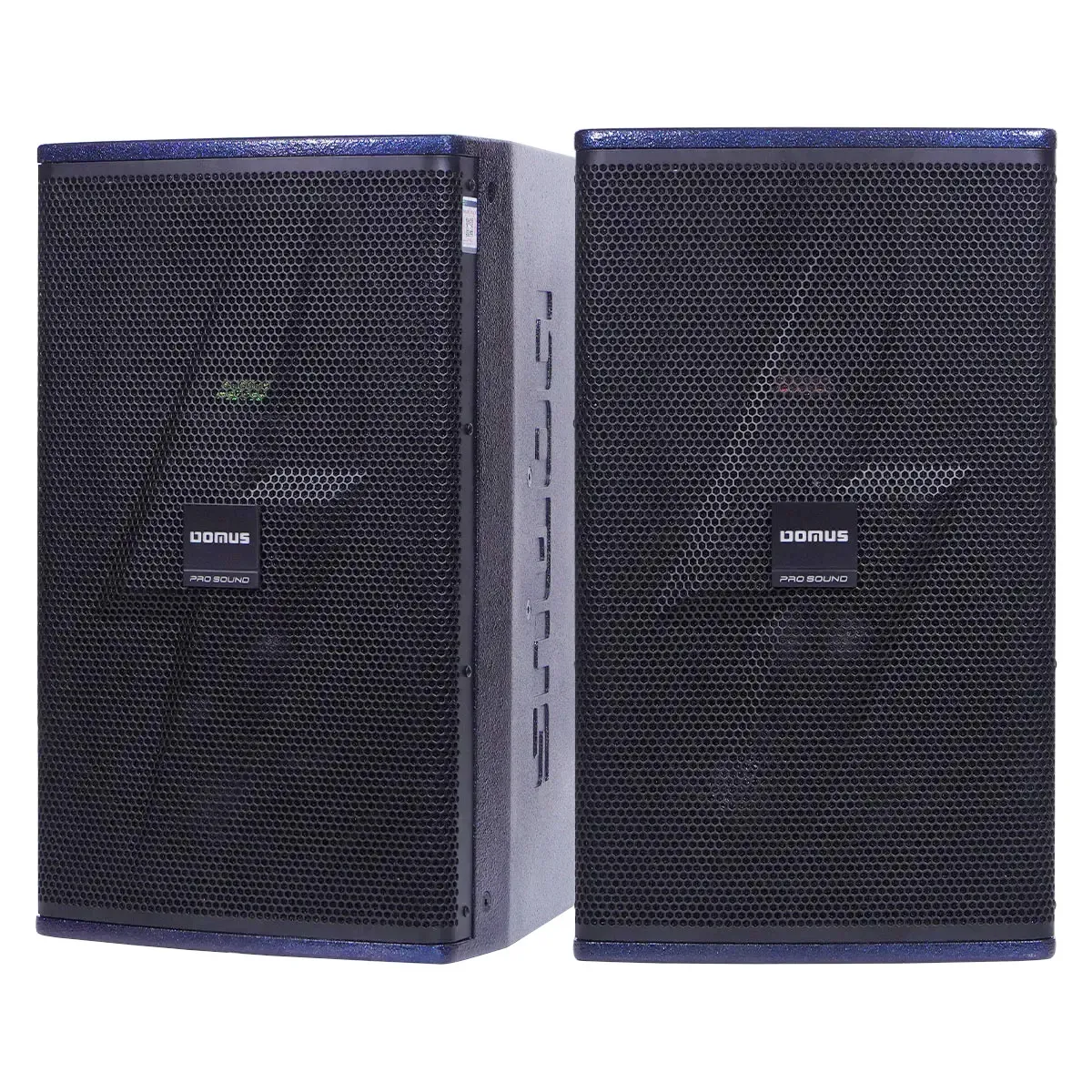 Ảnh minh họa Loa Karaoke Domus DP-6210 MAX (Full Bass 25cm) 1