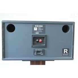 Ảnh minh họa Loa Karaoke JBL KS308 1