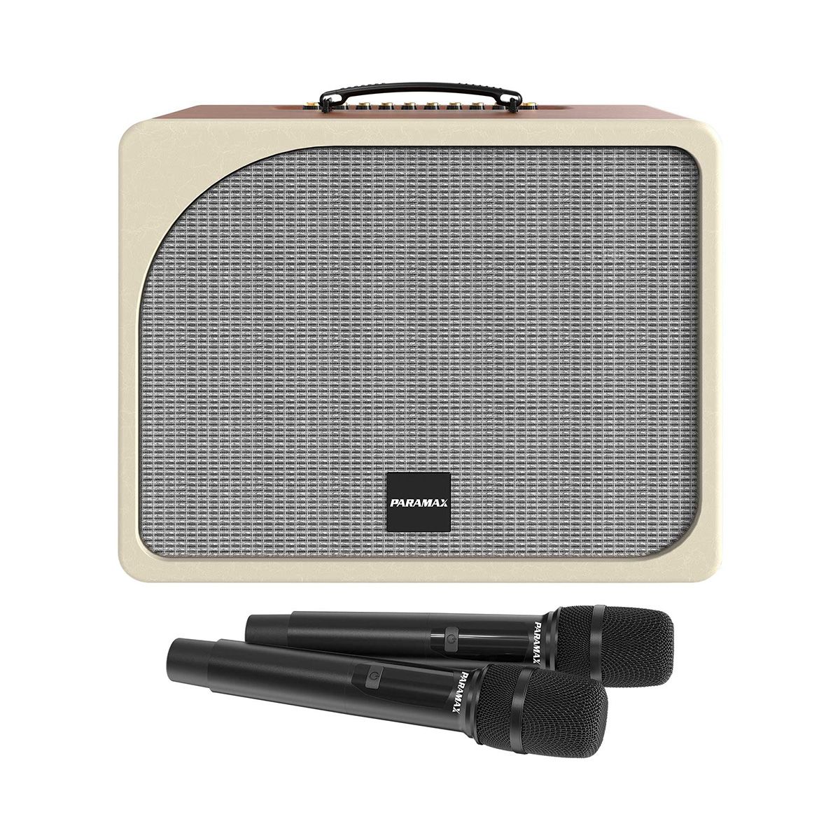 Ảnh minh họa Loa Karaoke PARAMAX Evox Max 1