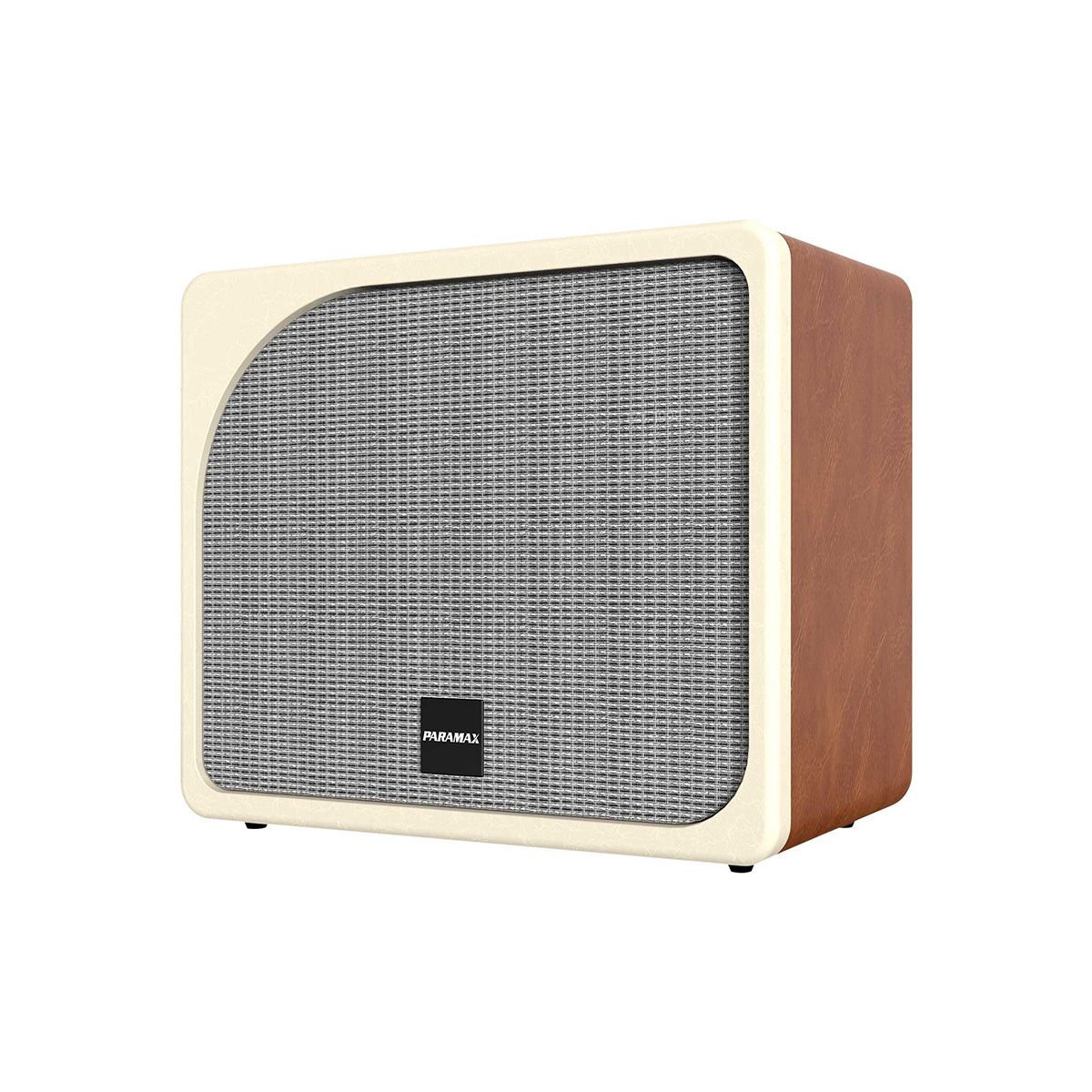 Ảnh minh họa Loa Karaoke PARAMAX Evox Max 2