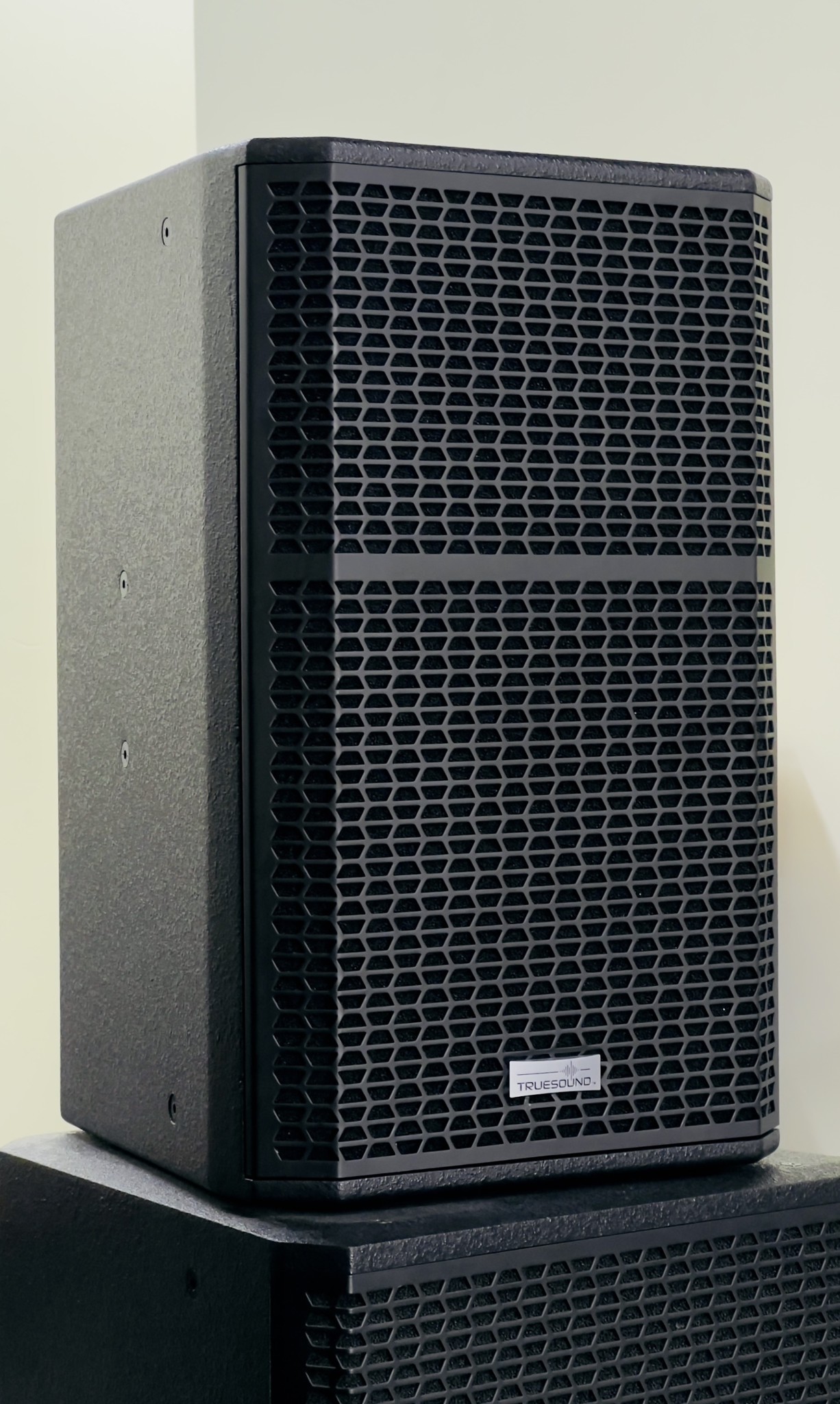 Ảnh minh họa LOA KARAOKE TRUESSOUND CK12 1