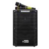 Loa karaoke xách tay Best M10 (Bass 25, 300W/600W, Kèm 2 micro)