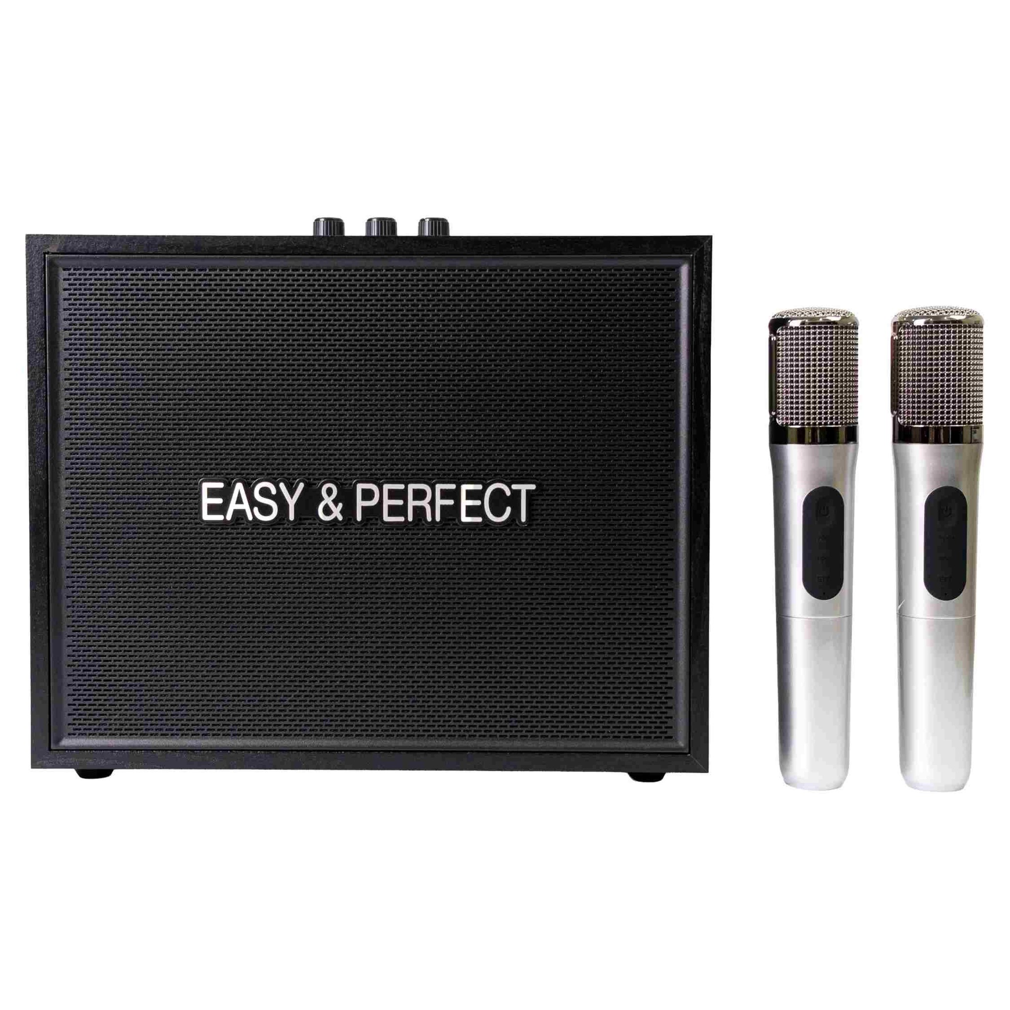 Loa karaoke xách tay Easy & Perfect Strenght 20W
