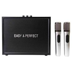  Loa karaoke xách tay Easy & Perfect Strenght 20W 