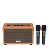 Loa Karaoke Xách Tay Mini SONCAMEDIA S30 V2