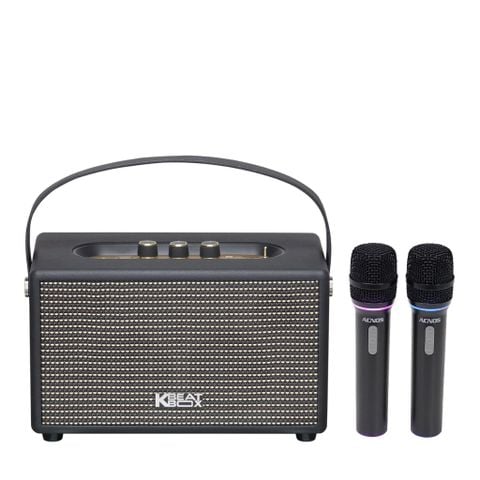 Loa Karaoke Xách Tay Mini Soncamedia SONCAMEDIA LAT NANO 68