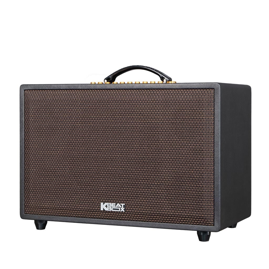 Ảnh minh họa Loa Karaoke Xách Tay Soncamedia ACNOS CS3600PRO 1