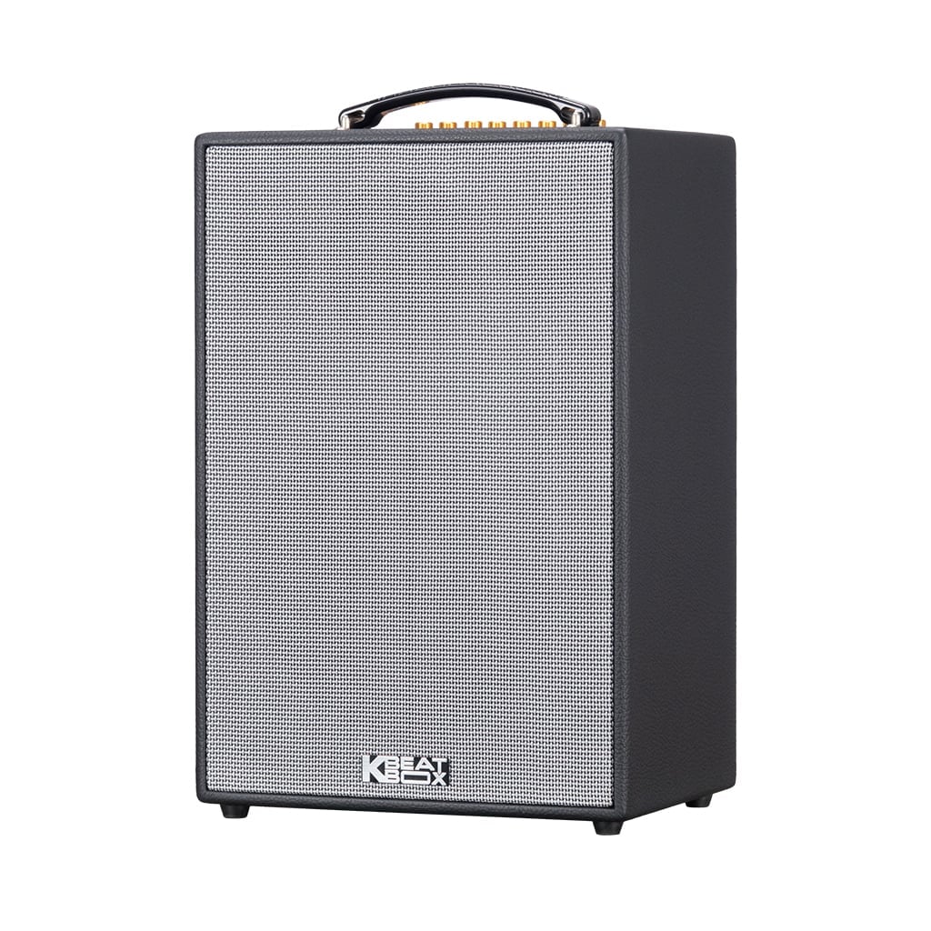 Ảnh minh họa Loa Karaoke Xách Tay SONCAMEDIA CS286PLUS 1