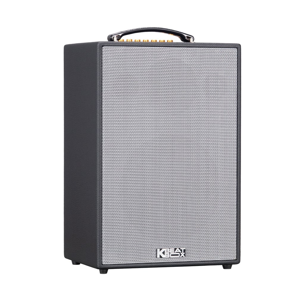 Ảnh minh họa Loa Karaoke Xách Tay SONCAMEDIA CS286PLUS 2