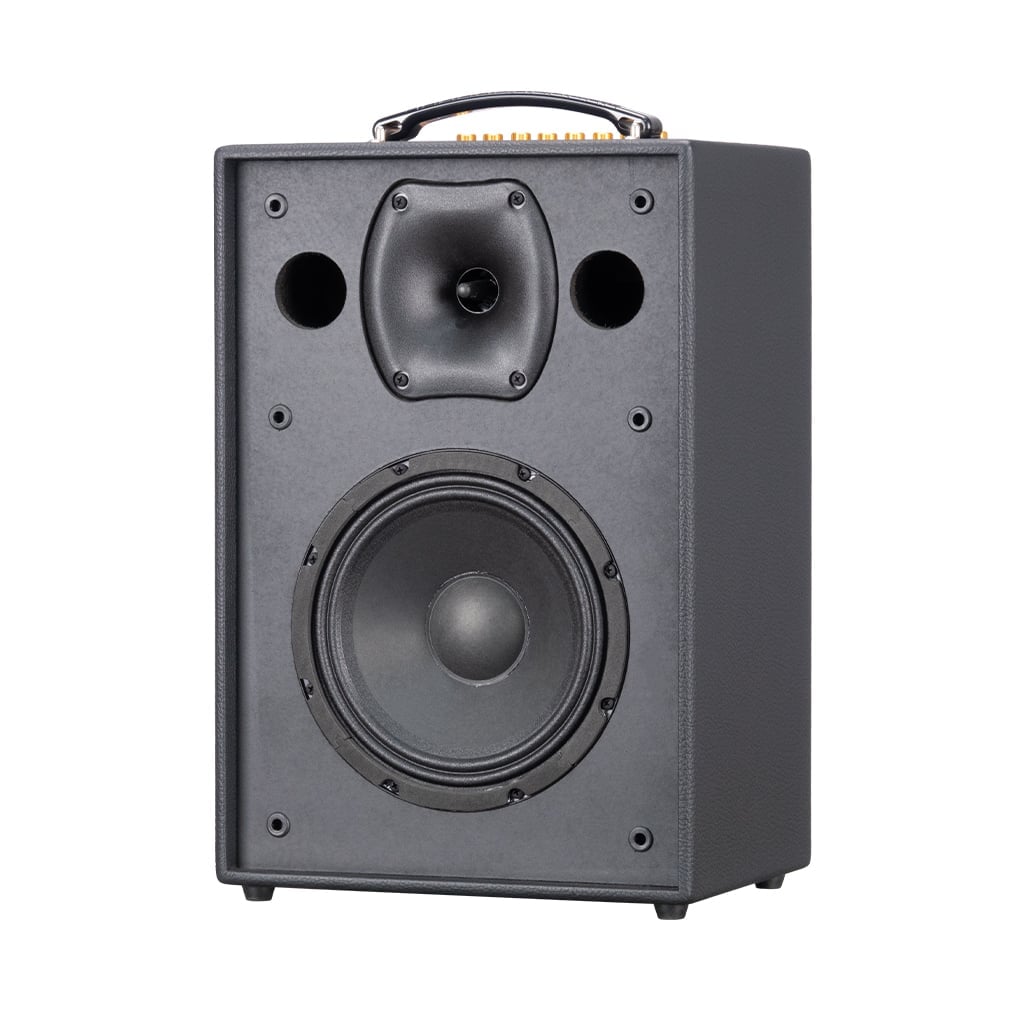 Ảnh minh họa Loa Karaoke Xách Tay SONCAMEDIA CS286PLUS 3