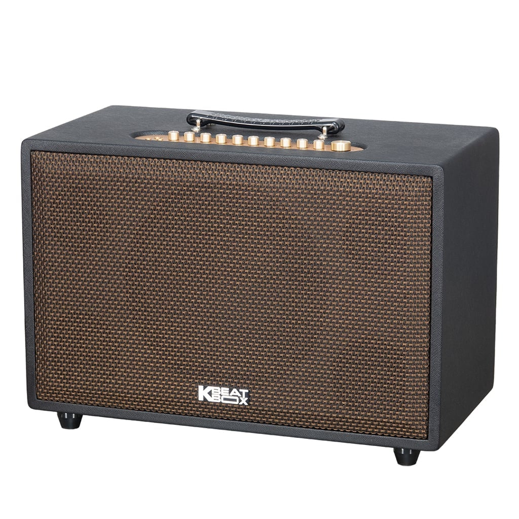Ảnh minh họa Loa Karaoke Xách Tay SONCAMEDIA CS3800PRO 1