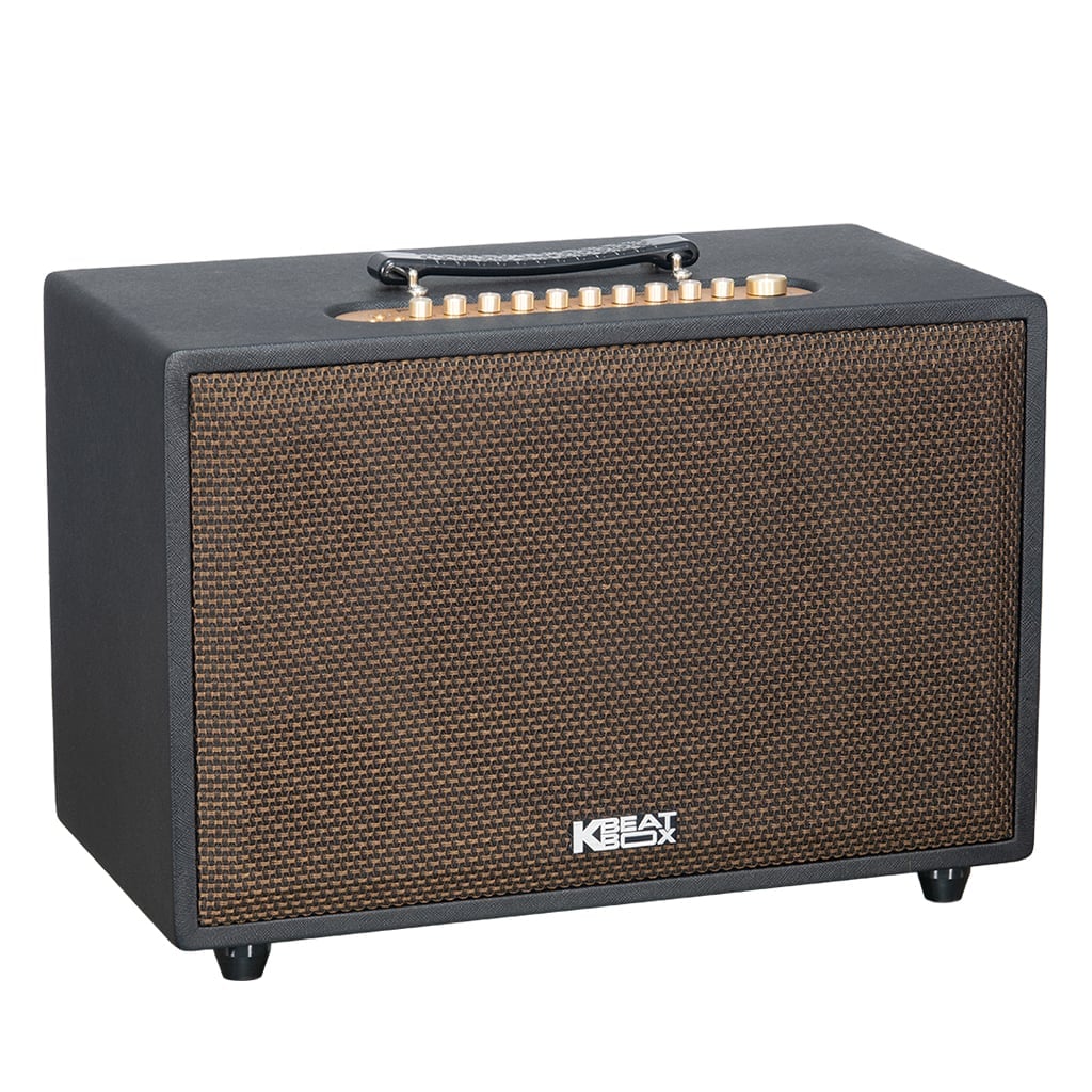 Ảnh minh họa Loa Karaoke Xách Tay SONCAMEDIA CS3800PRO 2