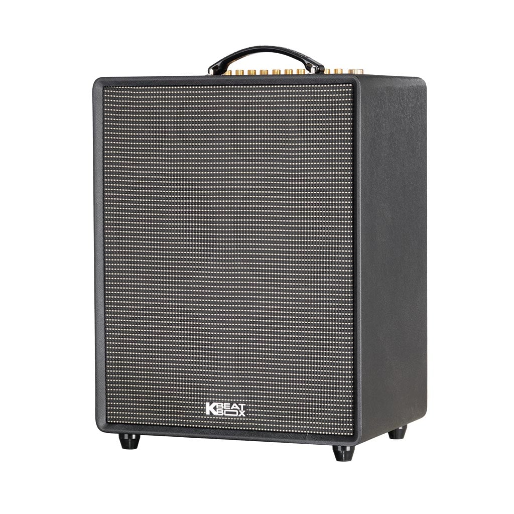 Ảnh minh họa Loa Karaoke Xách Tay Soncamedia CS552PLUS 1
