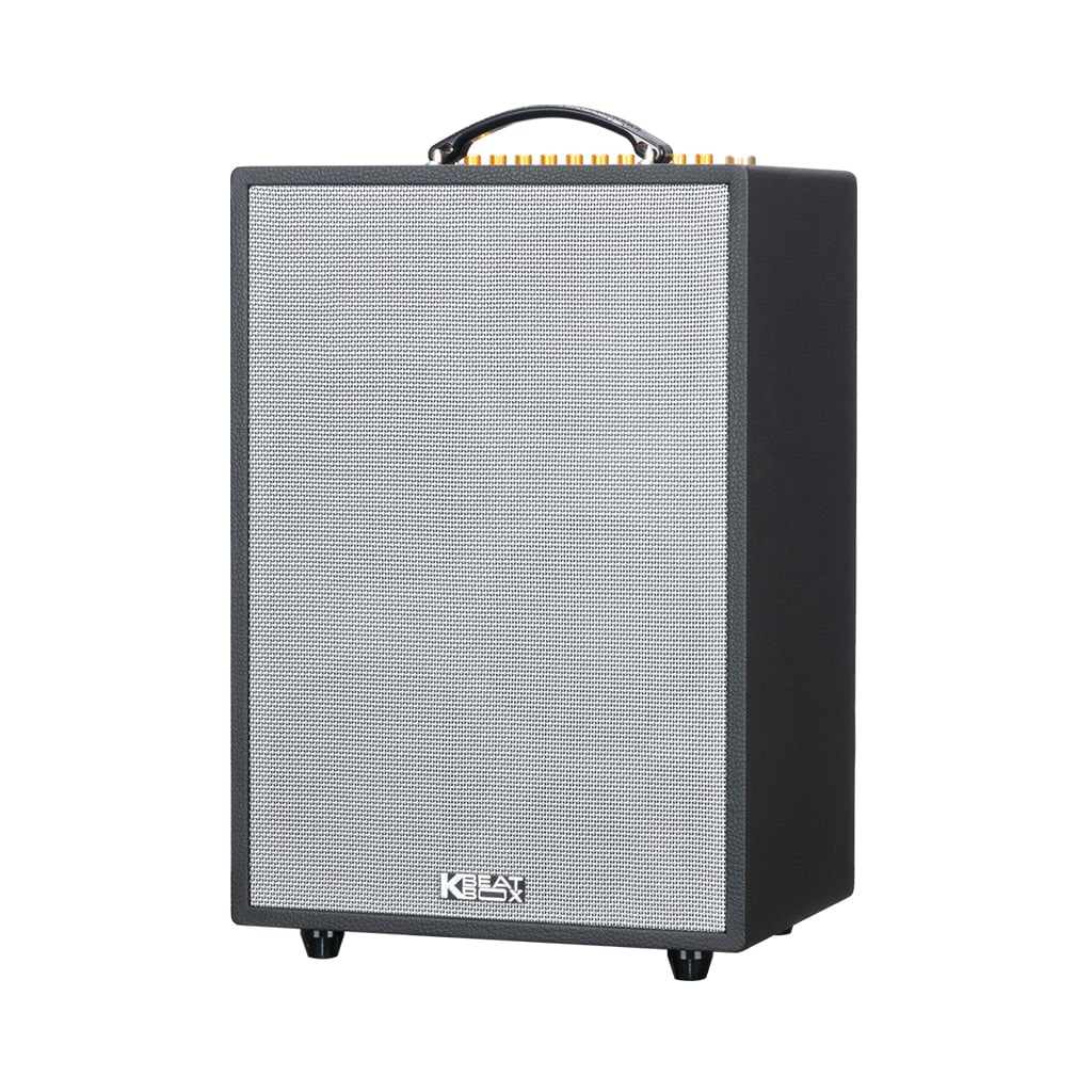 Ảnh minh họa Loa Karaoke Xách Tay SONCAMEDIA ePOP 100 1