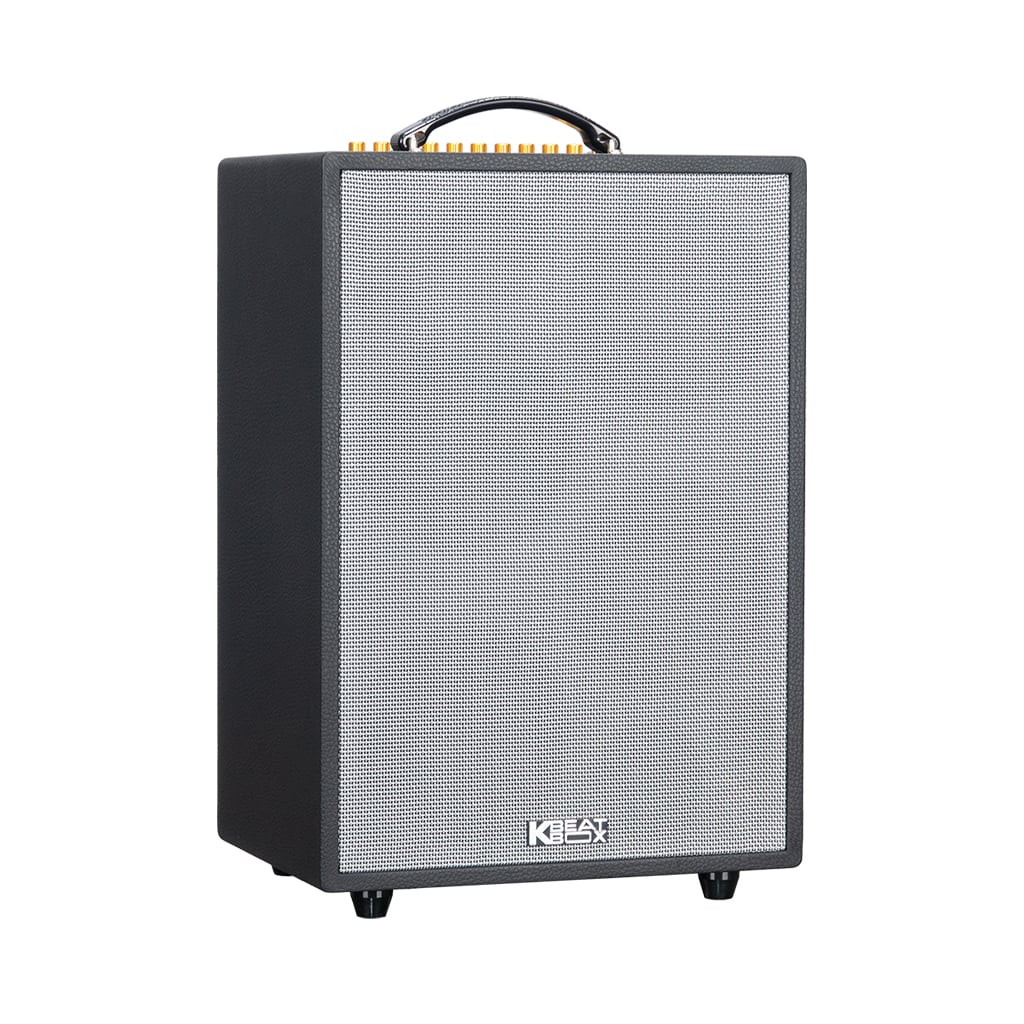 Ảnh minh họa Loa Karaoke Xách Tay SONCAMEDIA ePOP 100 2