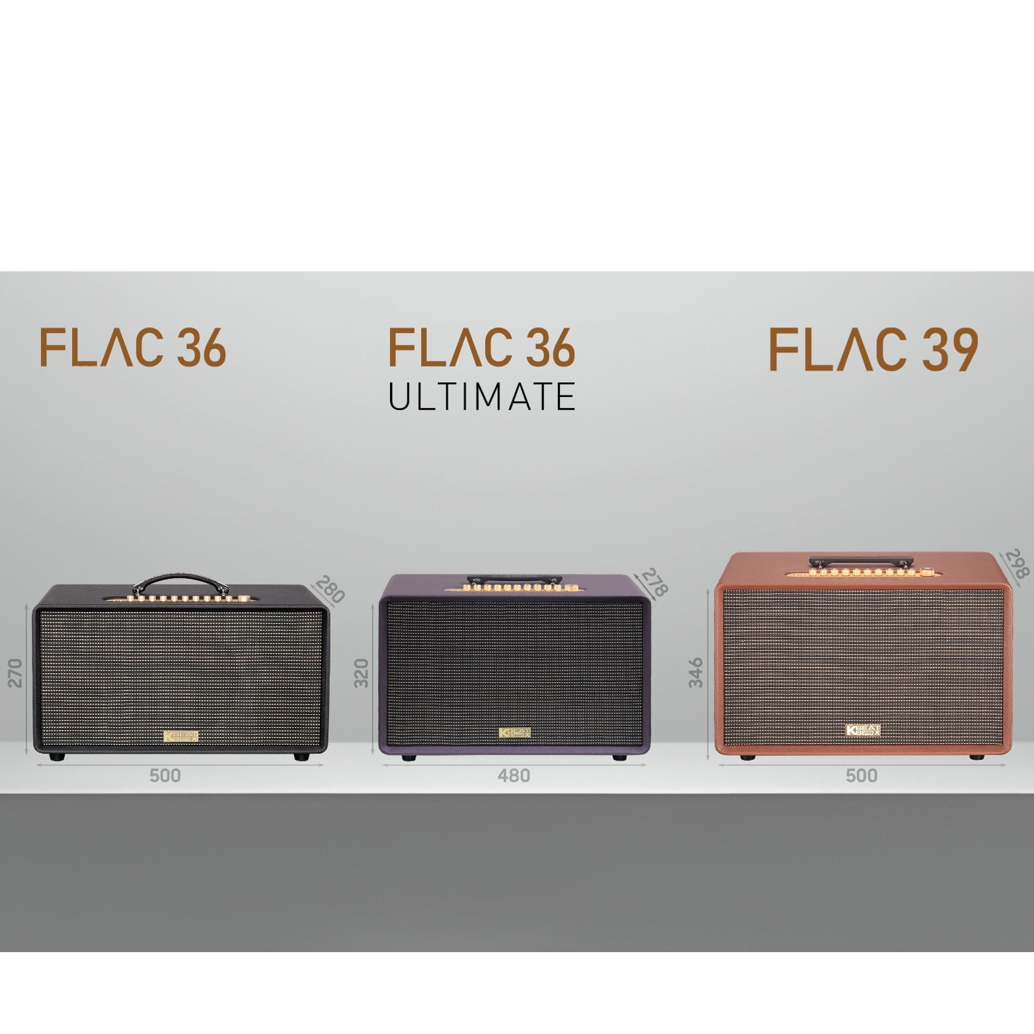 Ảnh minh họa Loa Karaoke Xách Tay SONCAMEDIA FLAC 39 1