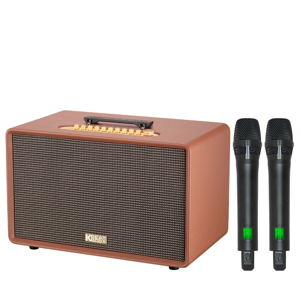 Ảnh minh họa Loa Karaoke Xách Tay SONCAMEDIA FLAC 39 2
