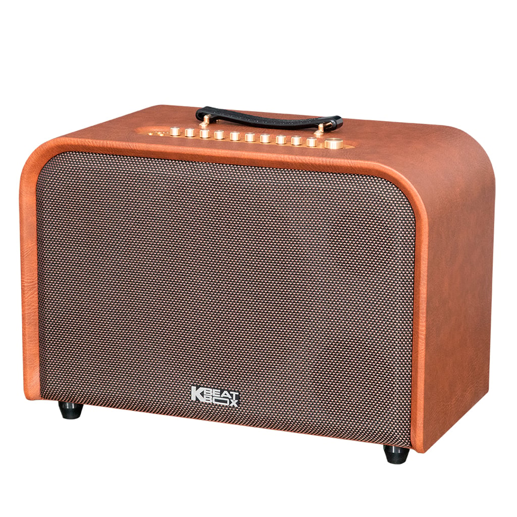 Ảnh minh họa Loa Karaoke Xách Tay SONCAMEDIA HARMONY 1