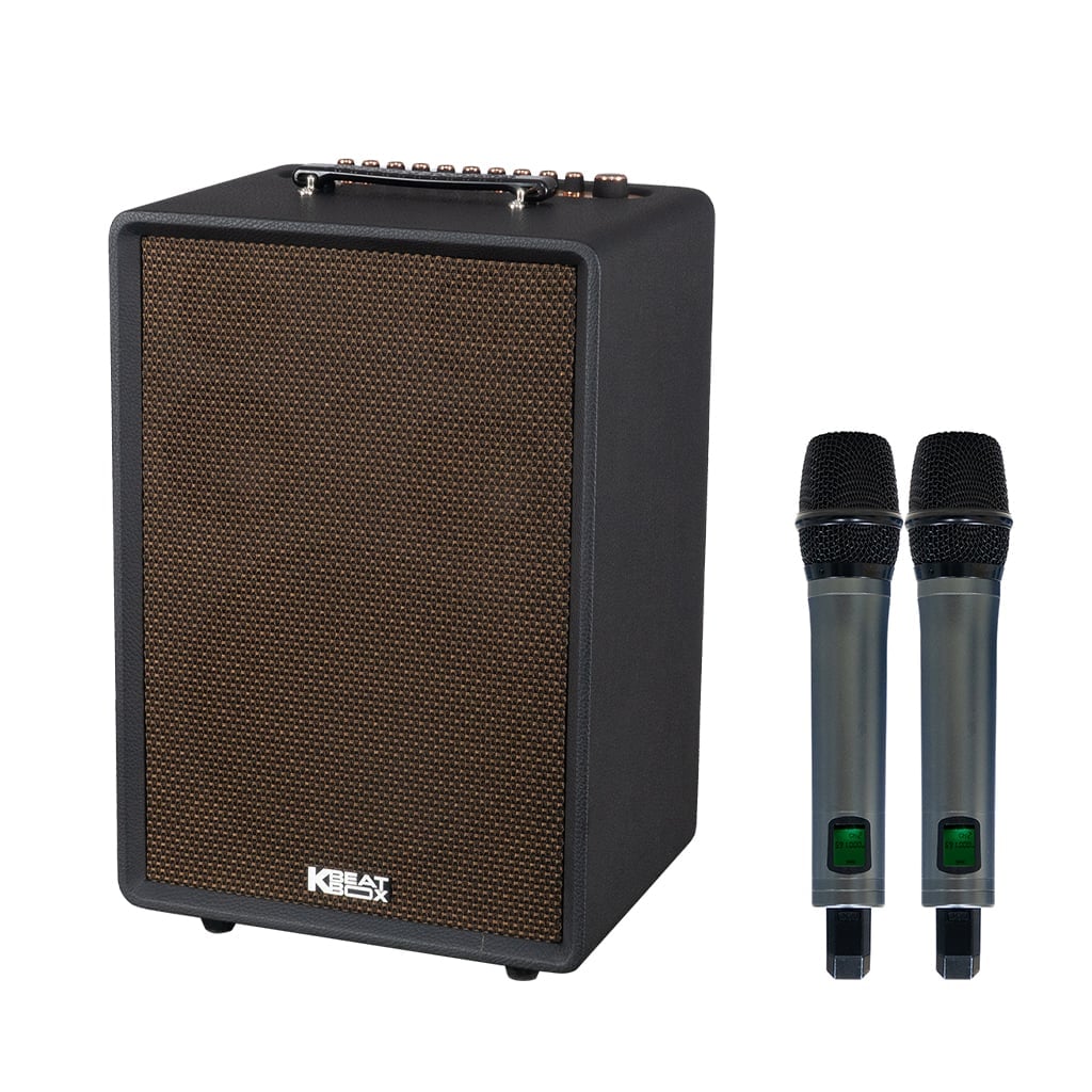 Ảnh minh họa Loa Karaoke Xách Tay Soncamedia SONCAMEDIA AURIS 1