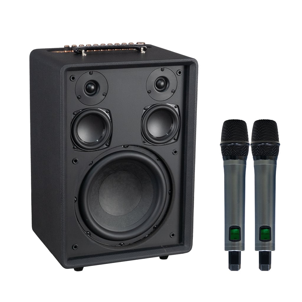 Ảnh minh họa Loa Karaoke Xách Tay Soncamedia SONCAMEDIA AURIS 3
