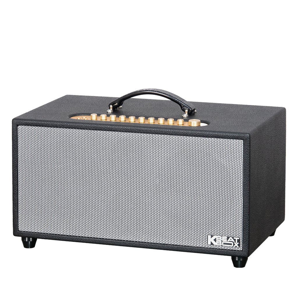 Ảnh minh họa Loa Karaoke Xách Tay Soncamedia SONCAMEDIA CS446 PRO Ver2 1