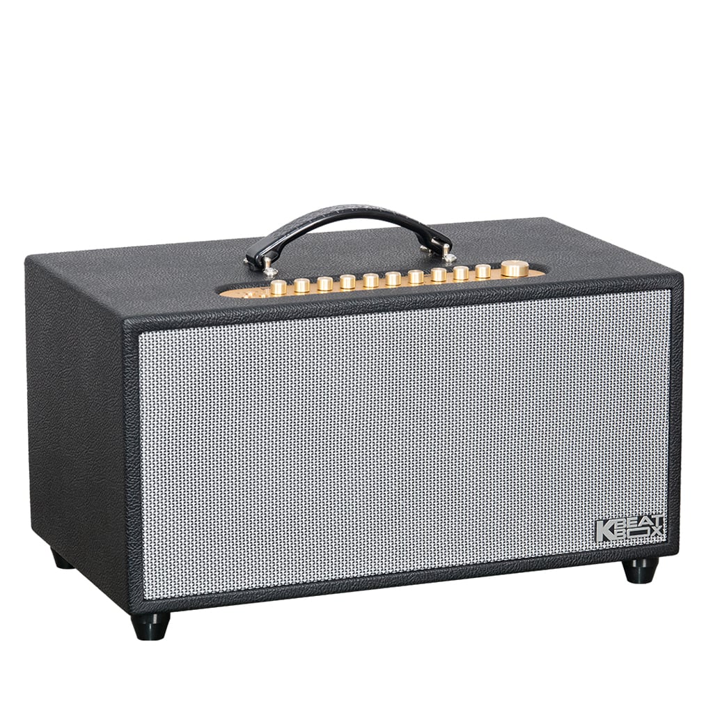 Ảnh minh họa Loa Karaoke Xách Tay Soncamedia SONCAMEDIA CS446 PRO Ver2 2