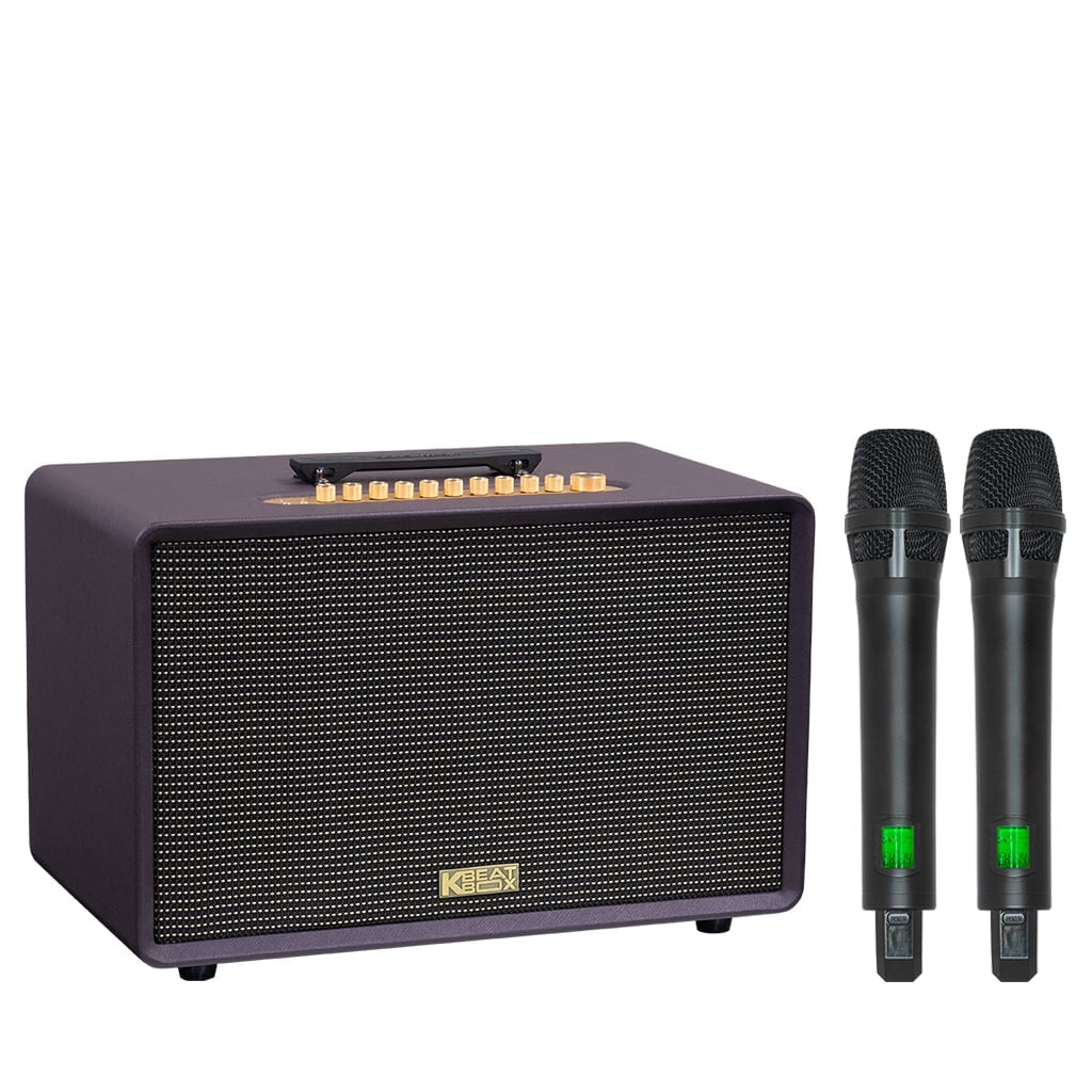 Ảnh minh họa Loa Karaoke Xách Tay Soncamedia SONCAMEDIA FLAC 36 ULTIMATE 3