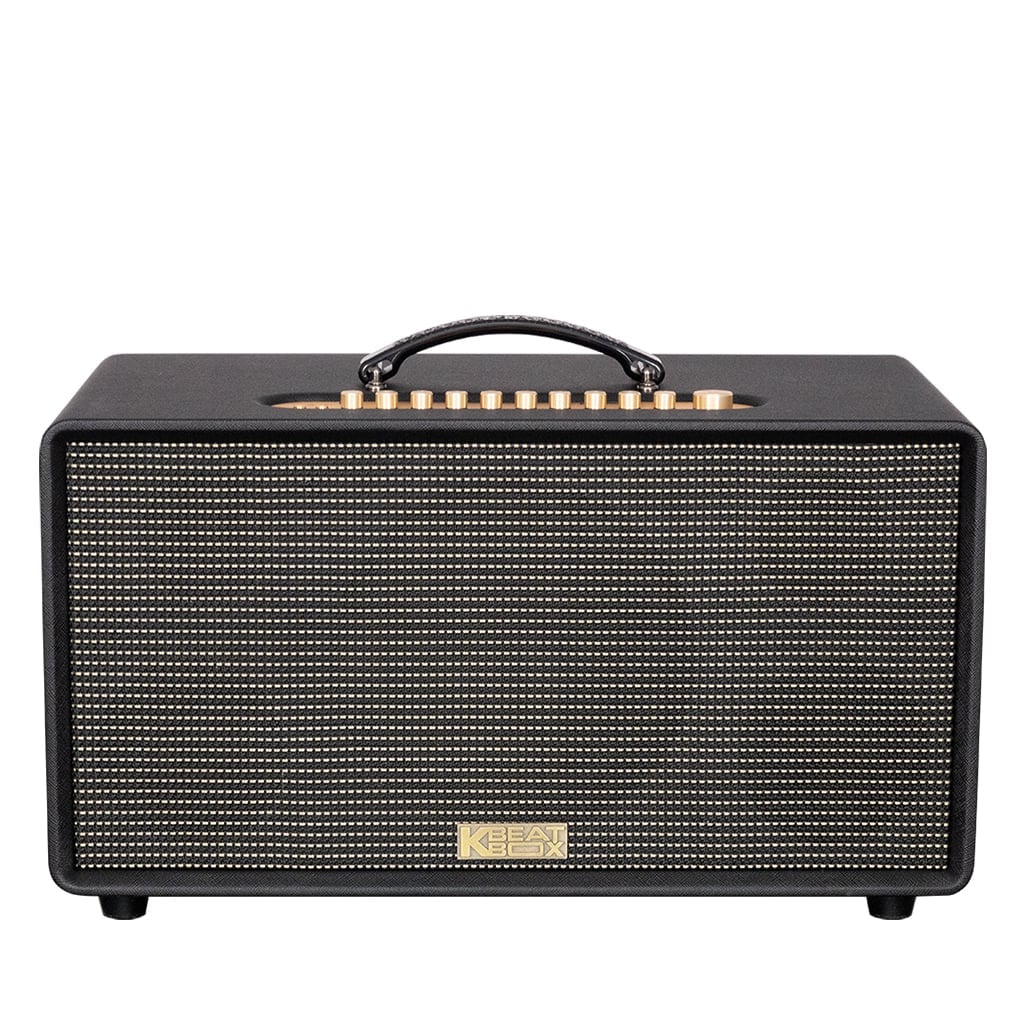 Ảnh minh họa Loa Karaoke Xách Tay Soncamedia SONCAMEDIA FLAC 36 Ver2 2