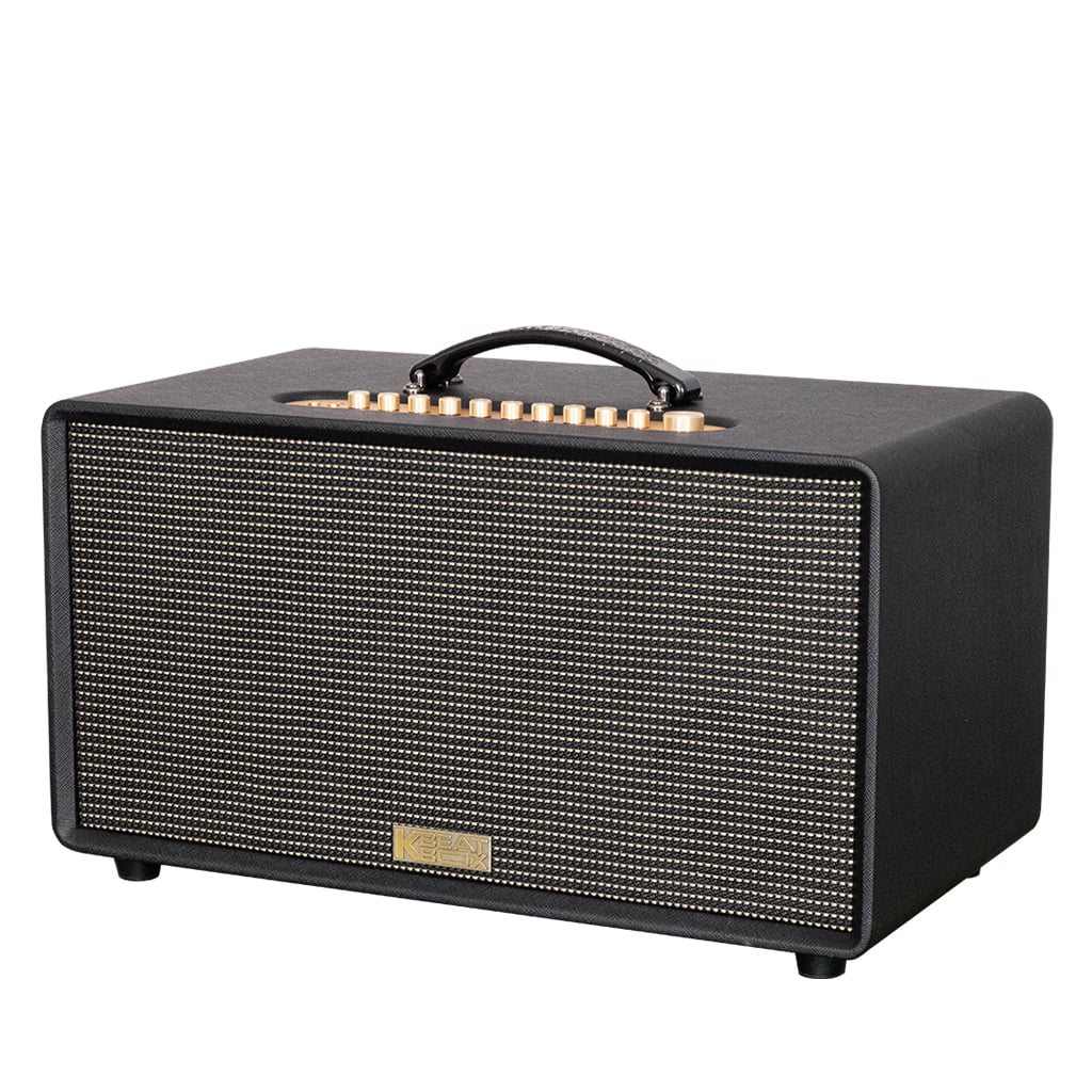 Ảnh minh họa Loa Karaoke Xách Tay Soncamedia SONCAMEDIA FLAC 36 Ver2 3