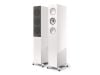 Loa KEF R5 Meta (Độ nhạy 87dB, Tần số 52Hz - 28kHz)