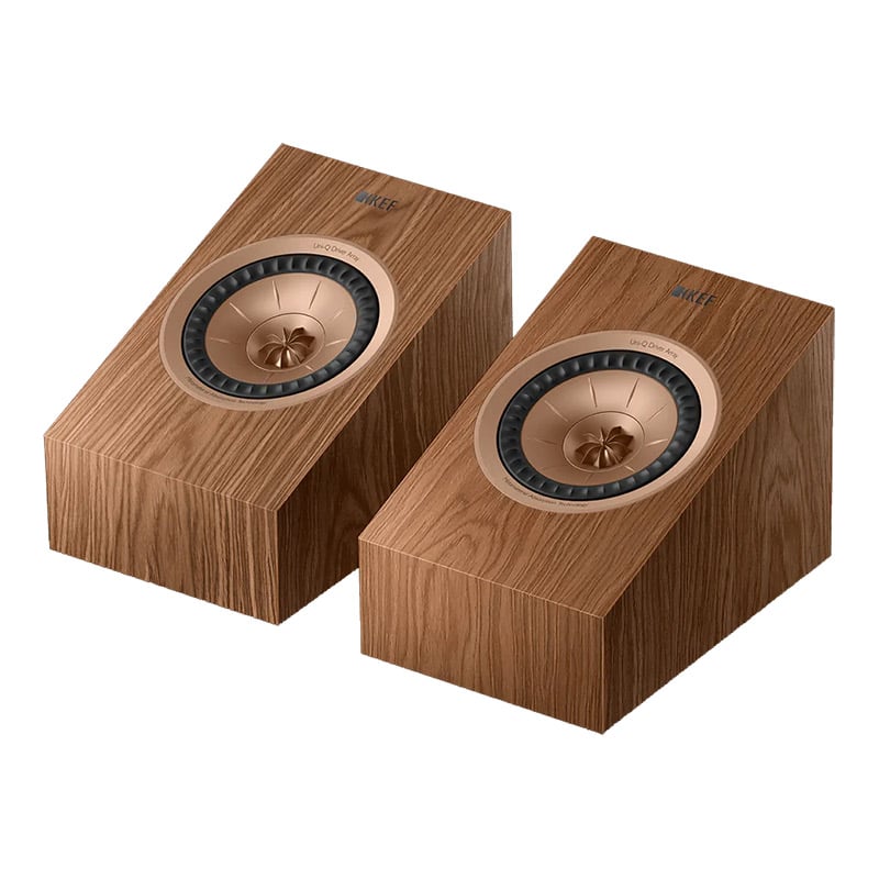 Ảnh minh họa Loa KEF R8a Meta (Độ nhạy 86dB, Tần số 88 Hz-17,5 KHz) 1