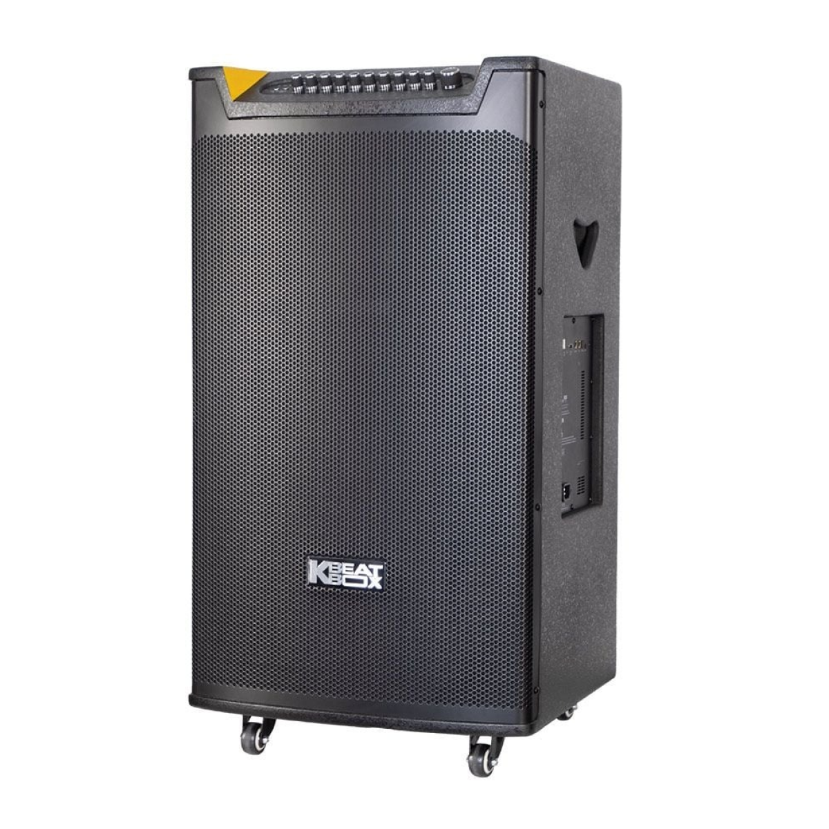 Ảnh minh họa Loa kéo ACNOS TOP 430 3
