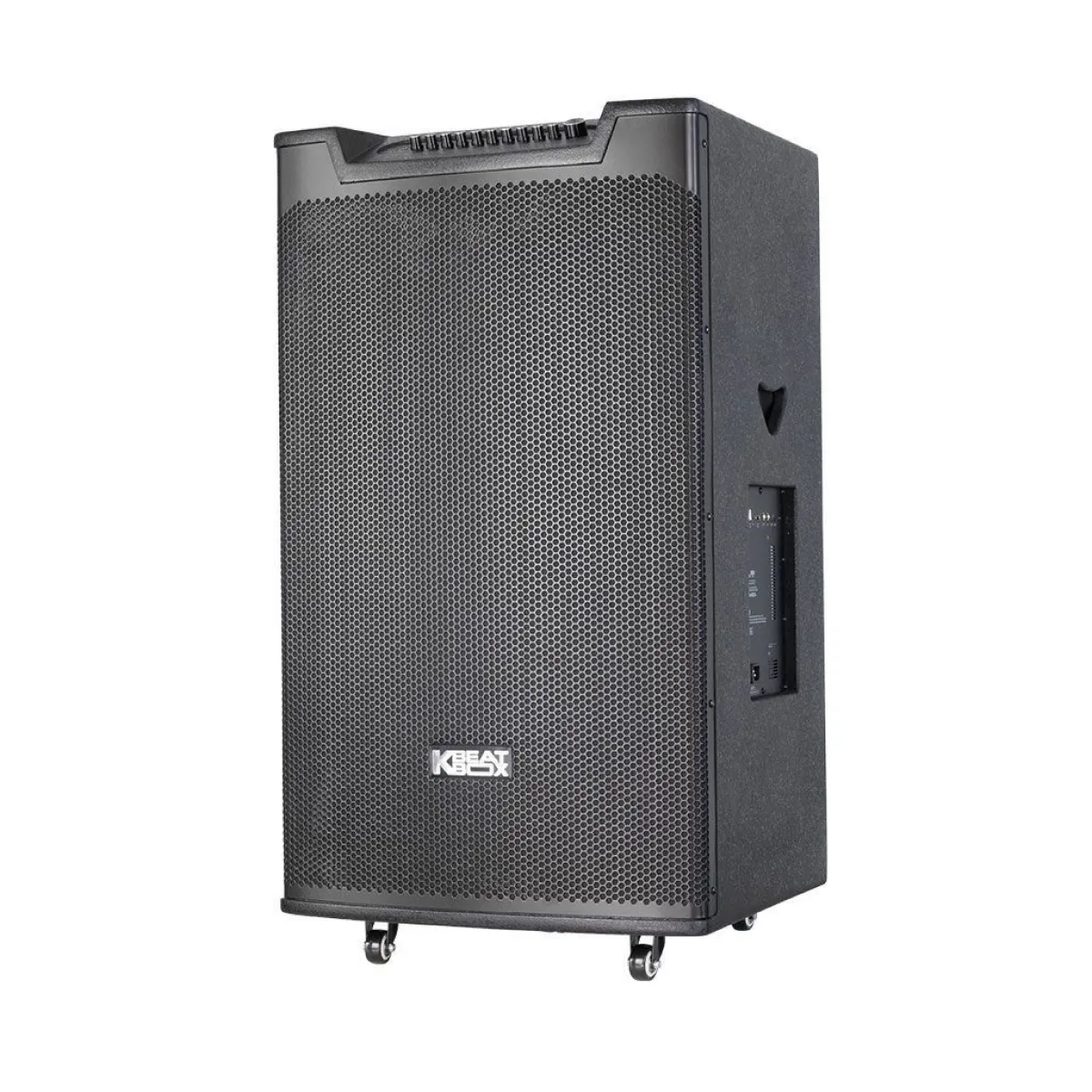 Ảnh minh họa Loa kéo ACNOS TOP 530 2