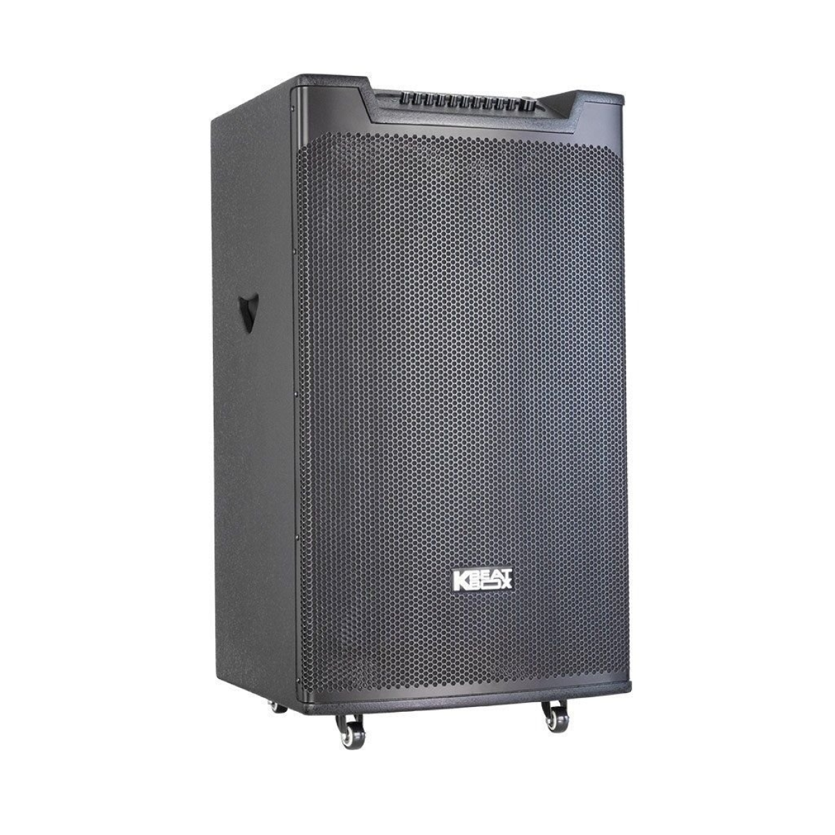 Ảnh minh họa Loa kéo ACNOS TOP 530 3