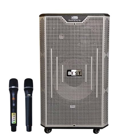 Loa kéo Best S30 (Bass 12 inch, 700W, kèm 2 Micro)