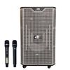 Loa kéo Best S30 (Bass 12 inch, 700W, kèm 2 Micro)