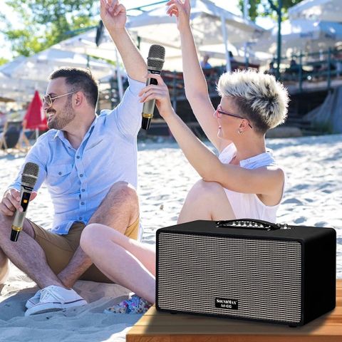 Loa kéo Soundmax M-66 (Kèm 2 micro)