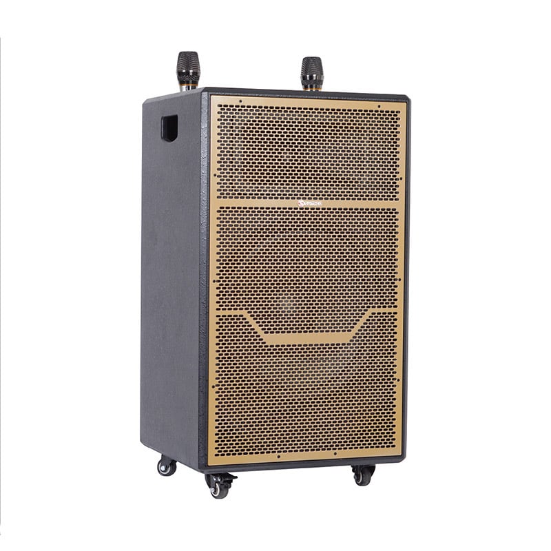 Ảnh minh họa Loa Kéo SUMICO DSP2104 | Bass 4 Tấc (350W) Kèm 2 Micro 1
